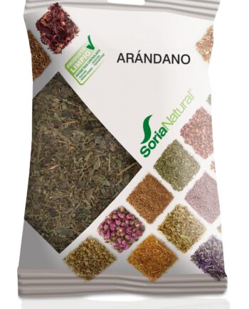 ARÁNDANO BOLSA