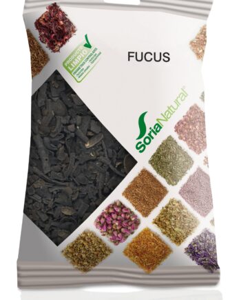 FUCUS BOLSA