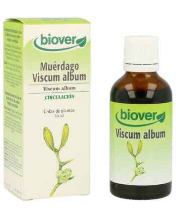 Muérdago (Viscum Album)