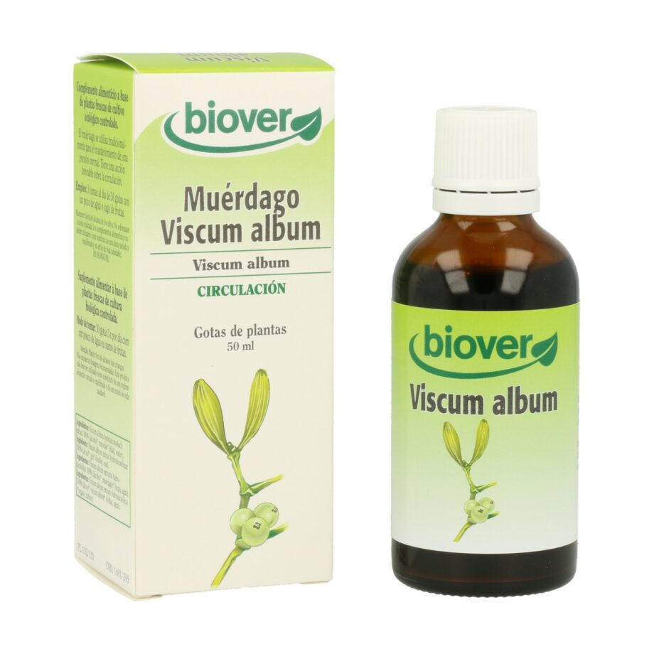 Muérdago (Viscum Album)