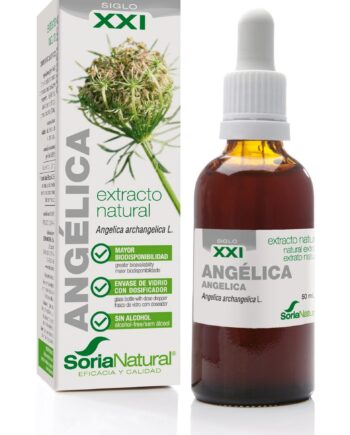 ANGÉLICA EXTRACTO S.XXI