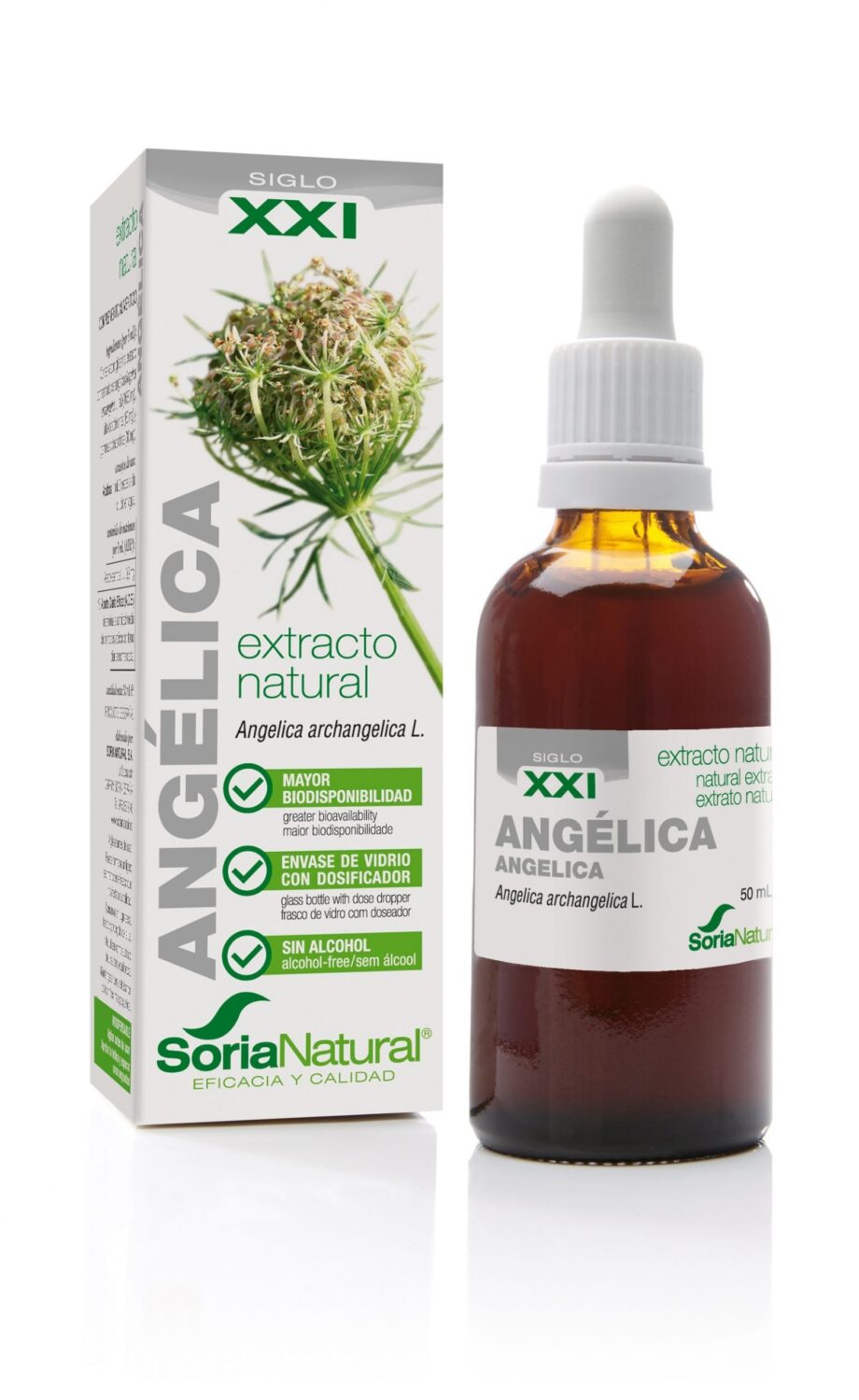 ANGÉLICA EXTRACTO S.XXI