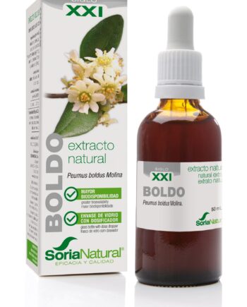 BOLDO EXTRACTO S.XXI