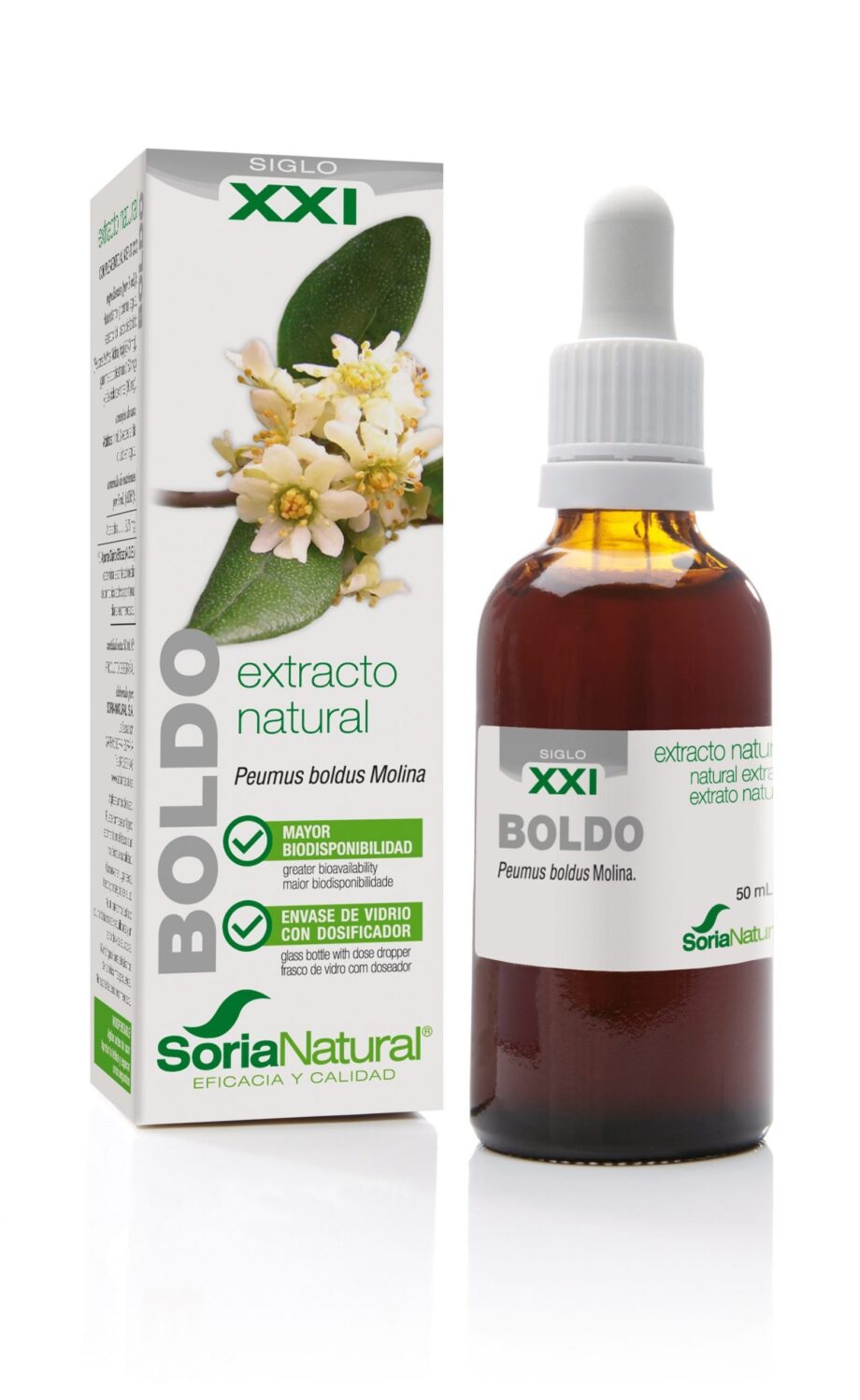 BOLDO EXTRACTO S.XXI