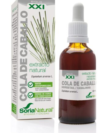 COLA DE CABALLO EXTRACTO S.XXI