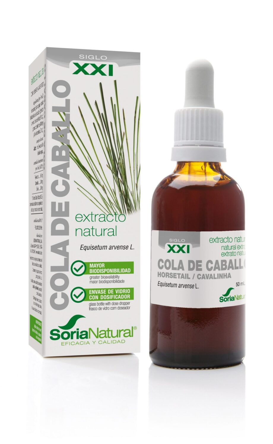 COLA DE CABALLO EXTRACTO S.XXI