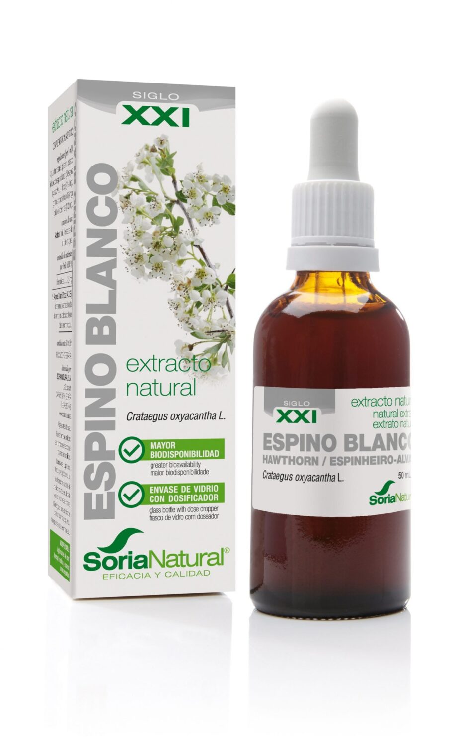 ESPINO BLANCO EXTRACTO S.XXI