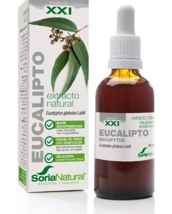 EUCALIPTO EXTRACTO S.XXI