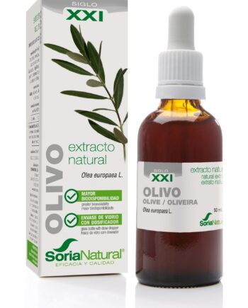 OLIVO EXTRACTO S.XXI