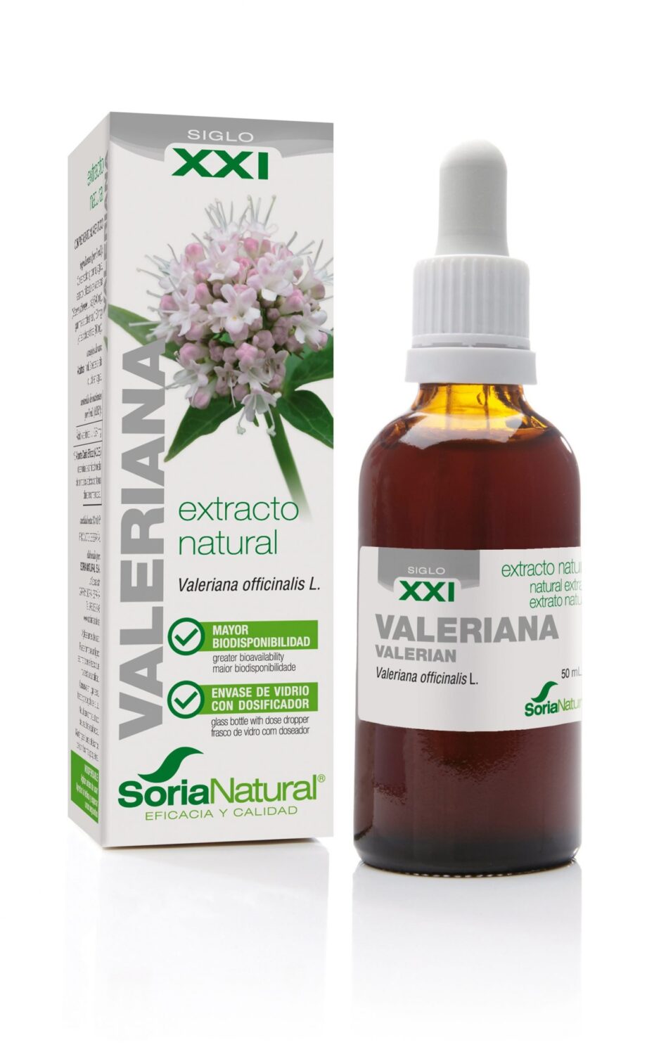 VALERIANA EXTRACTO S.XXI