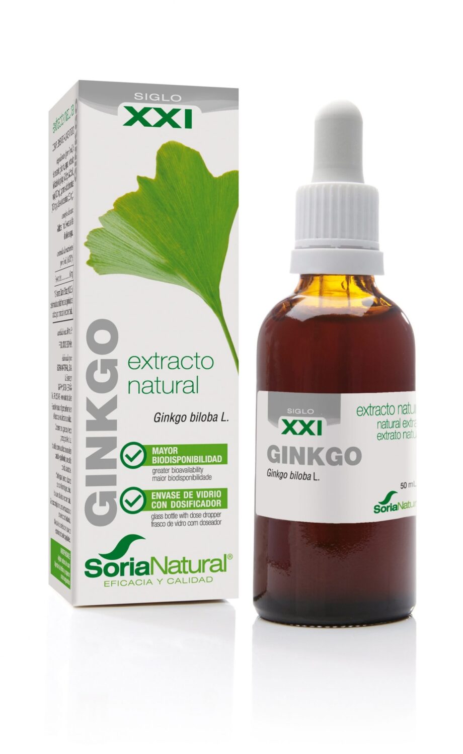 GINKGO BILOBA EXTRACTO S.XXI
