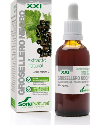 GROSELLERO NEGRO EXTRACTO S.XXI
