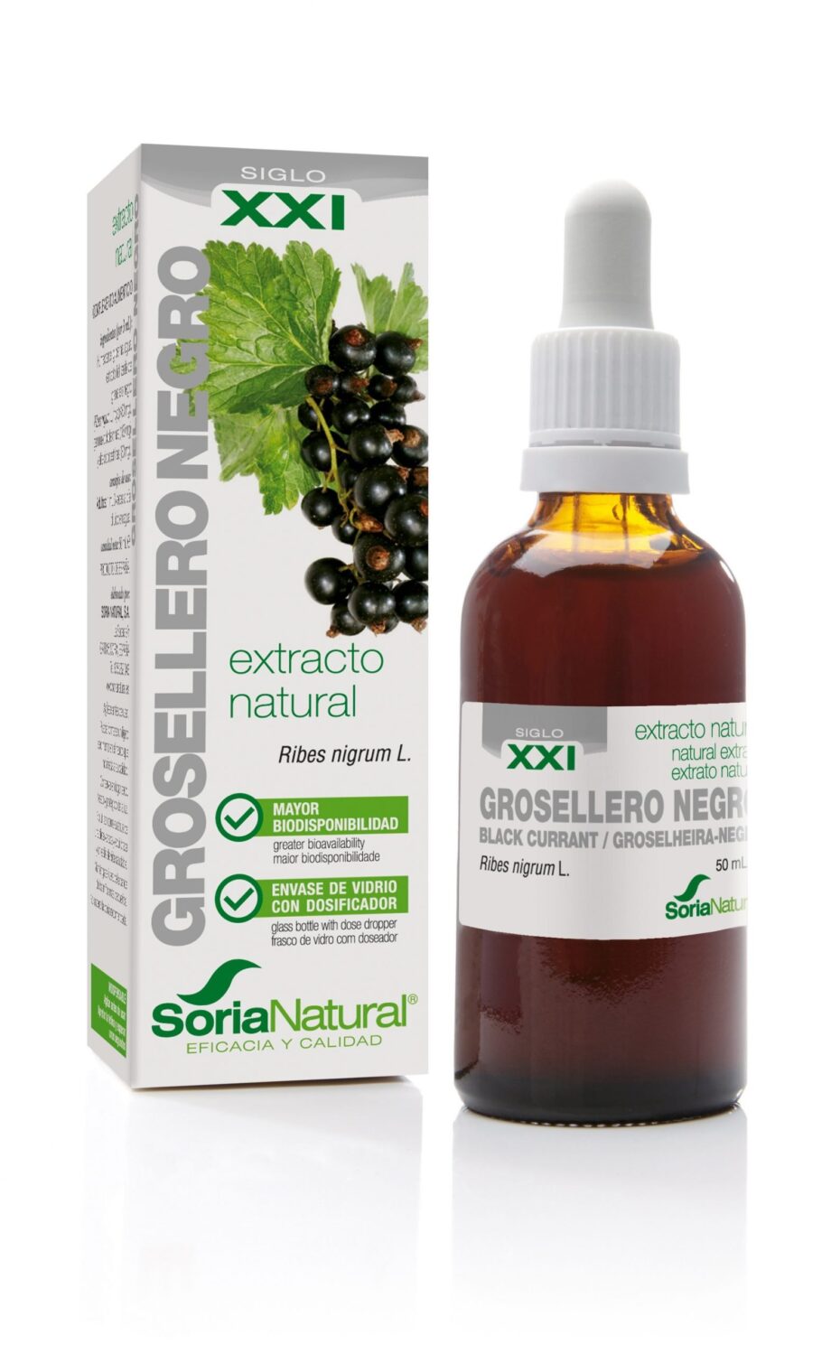 GROSELLERO NEGRO EXTRACTO S.XXI