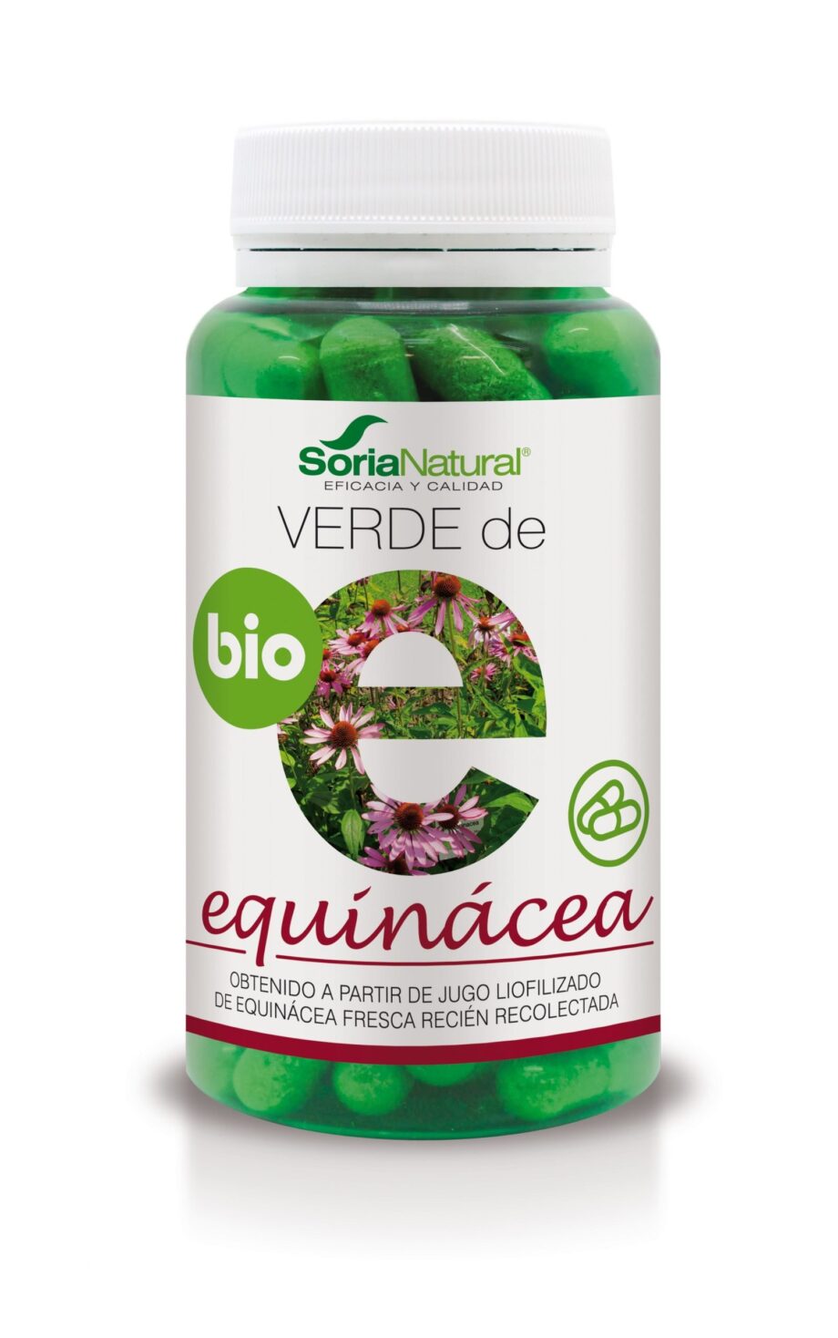 VERDE DE EQUINÁCEA
