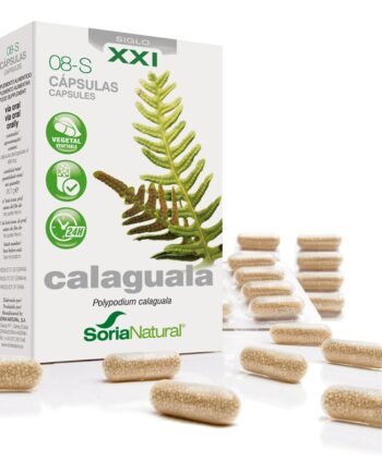 08-S CALAGUALA