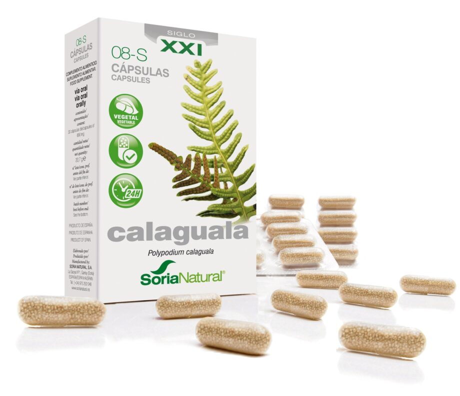 08-S CALAGUALA
