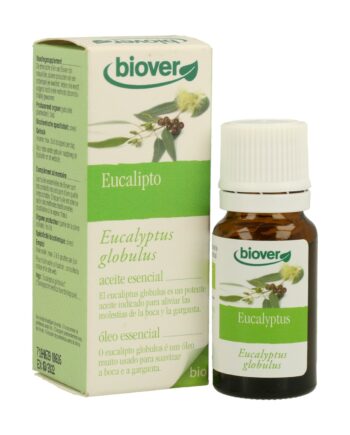 Eucalyptus Globulus Aceite Esencial Bio