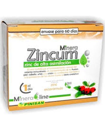 Minera Zincum
