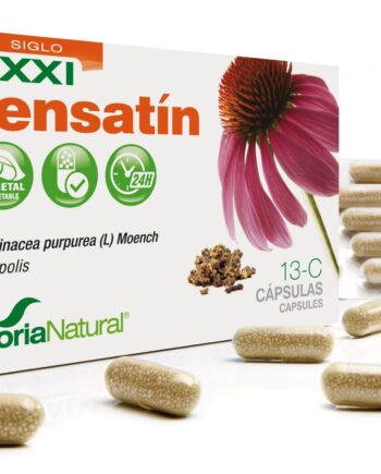 13-C FENSATÍN