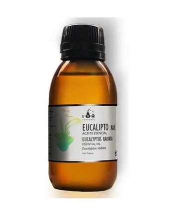 Eucalipto Radiata Aceite Esencial