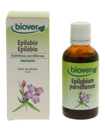 Epilobium parviflorum (epilobio)