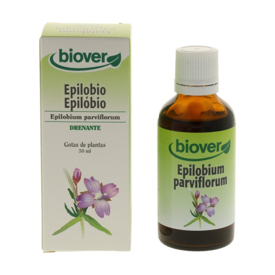 Epilobium parviflorum (epilobio)