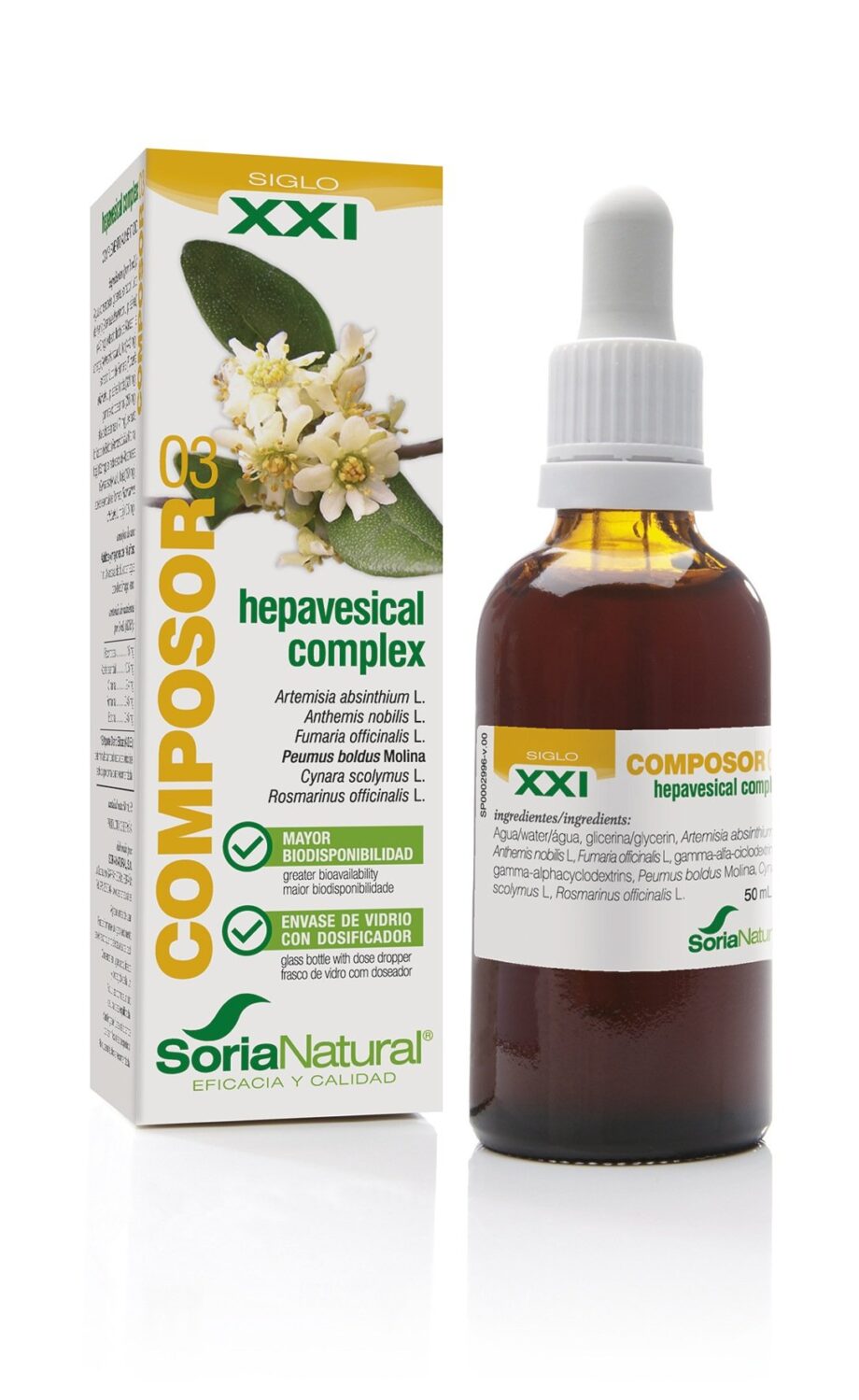 Composor 03 Hepavesical complex