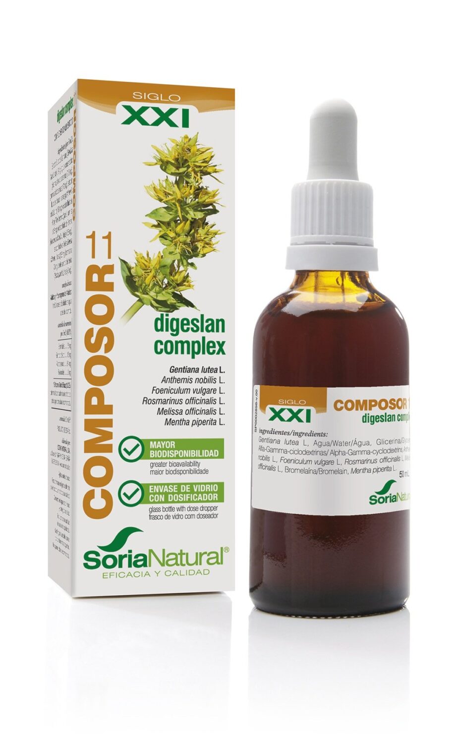 Composor 11 digeslan complex