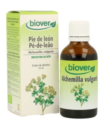 Alchemilla Vulgaris (Alchemilla) Bio