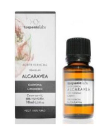 Carvi Alcaravea Aceite Esencial Alimentario