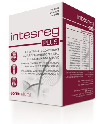 INTESREG PLUS