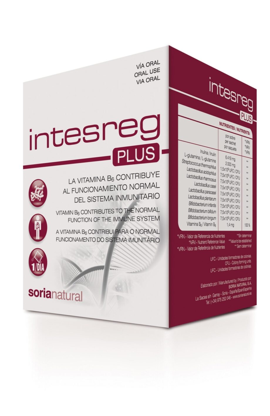 INTESREG PLUS