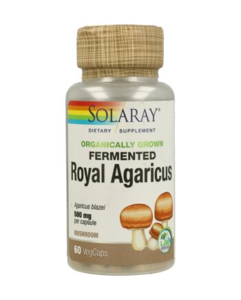 Fermented Royal Agaricus