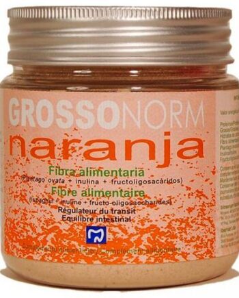 Grossonorm Sabor Naranja Polvo 450 gr