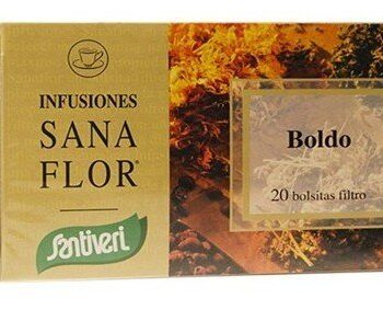 Boldo Hojas en Bolsa