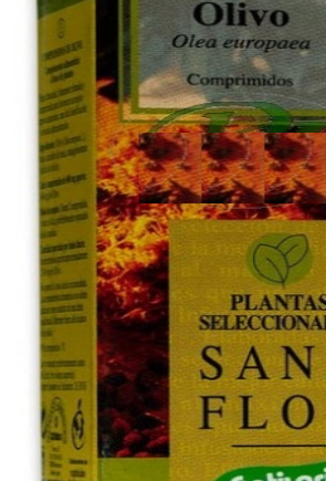 Olivo Hoja en Bolsa