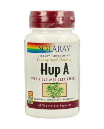 Hup A