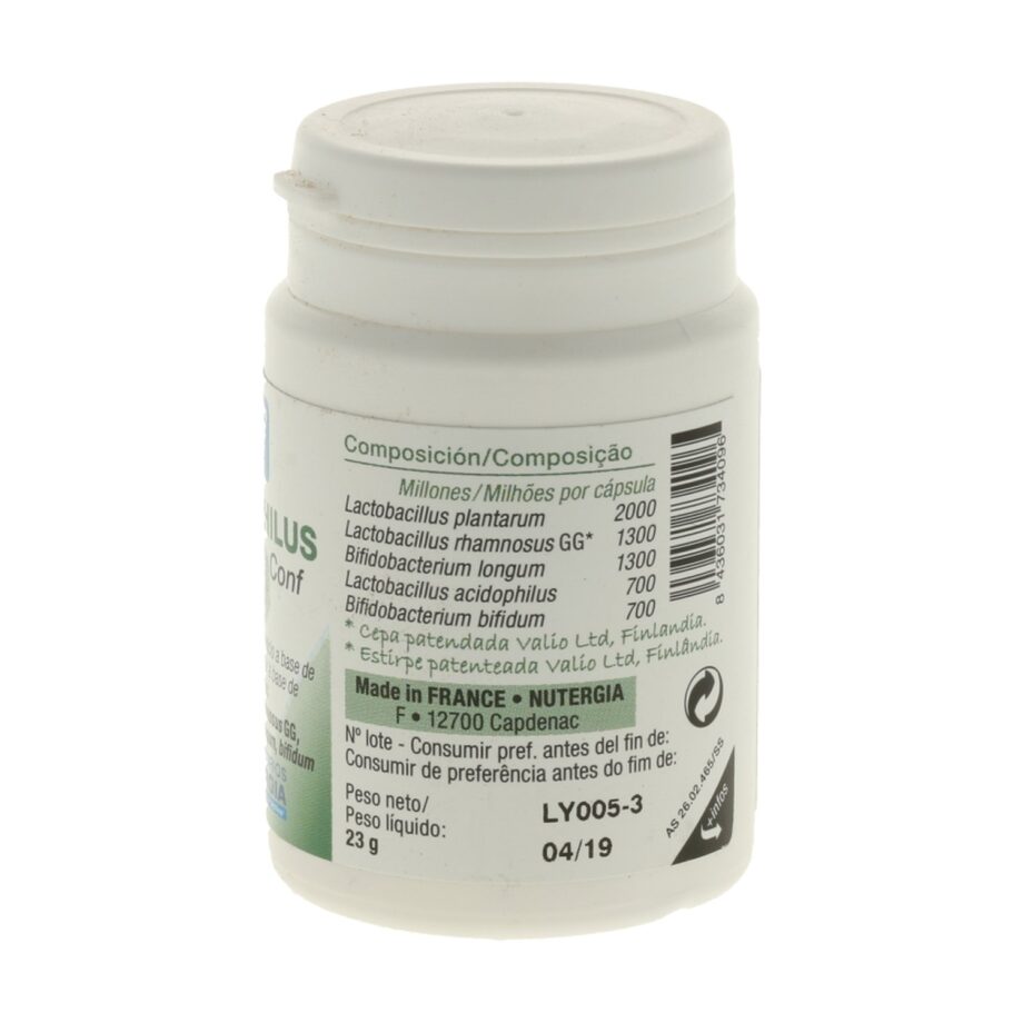 Ergyphilus Confort