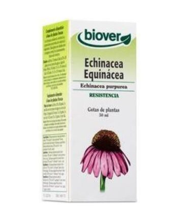 Echinacea Purpurea (Echinacea)