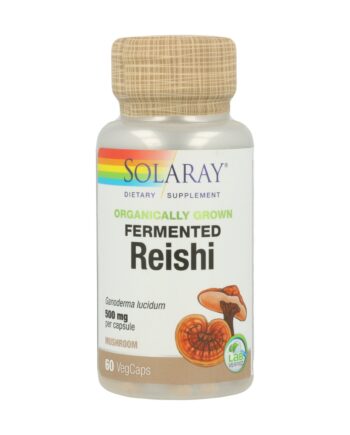 Fermented Reishi