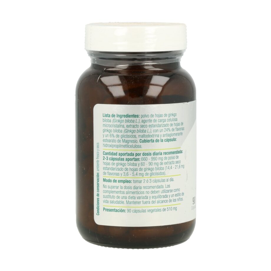 Ginkgo Biloba Plus