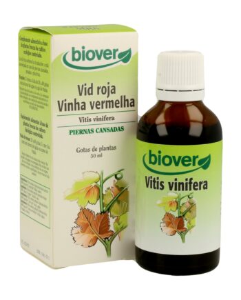 Vid Roja (Vitis Vinifera)