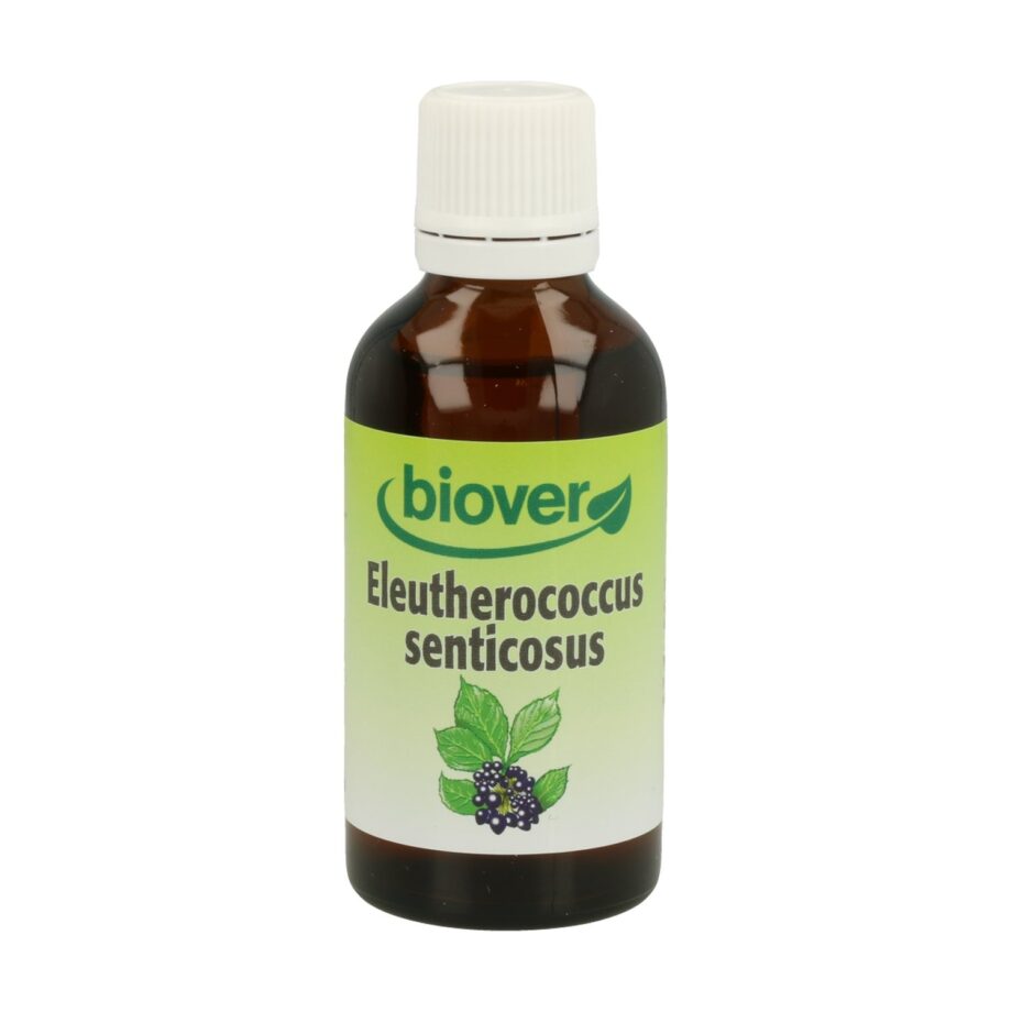 Eleutherococcus Senticosus