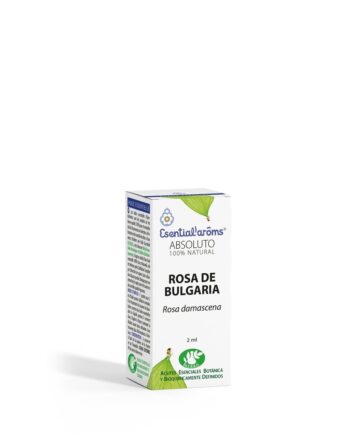Rosa Damascena
