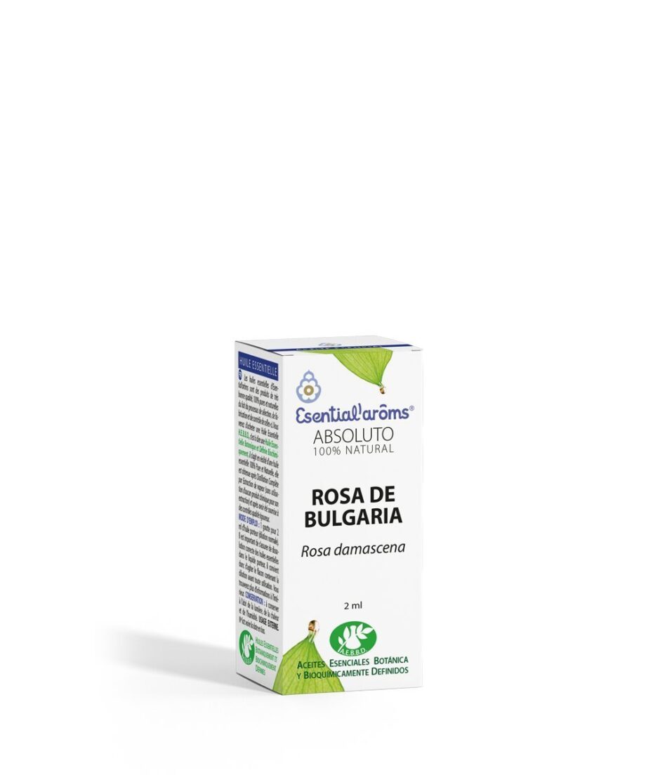 Rosa Damascena