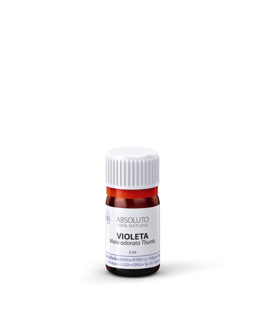 Viola Odorata