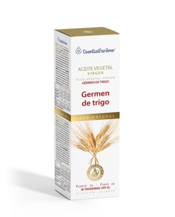 Triticum vulgare
