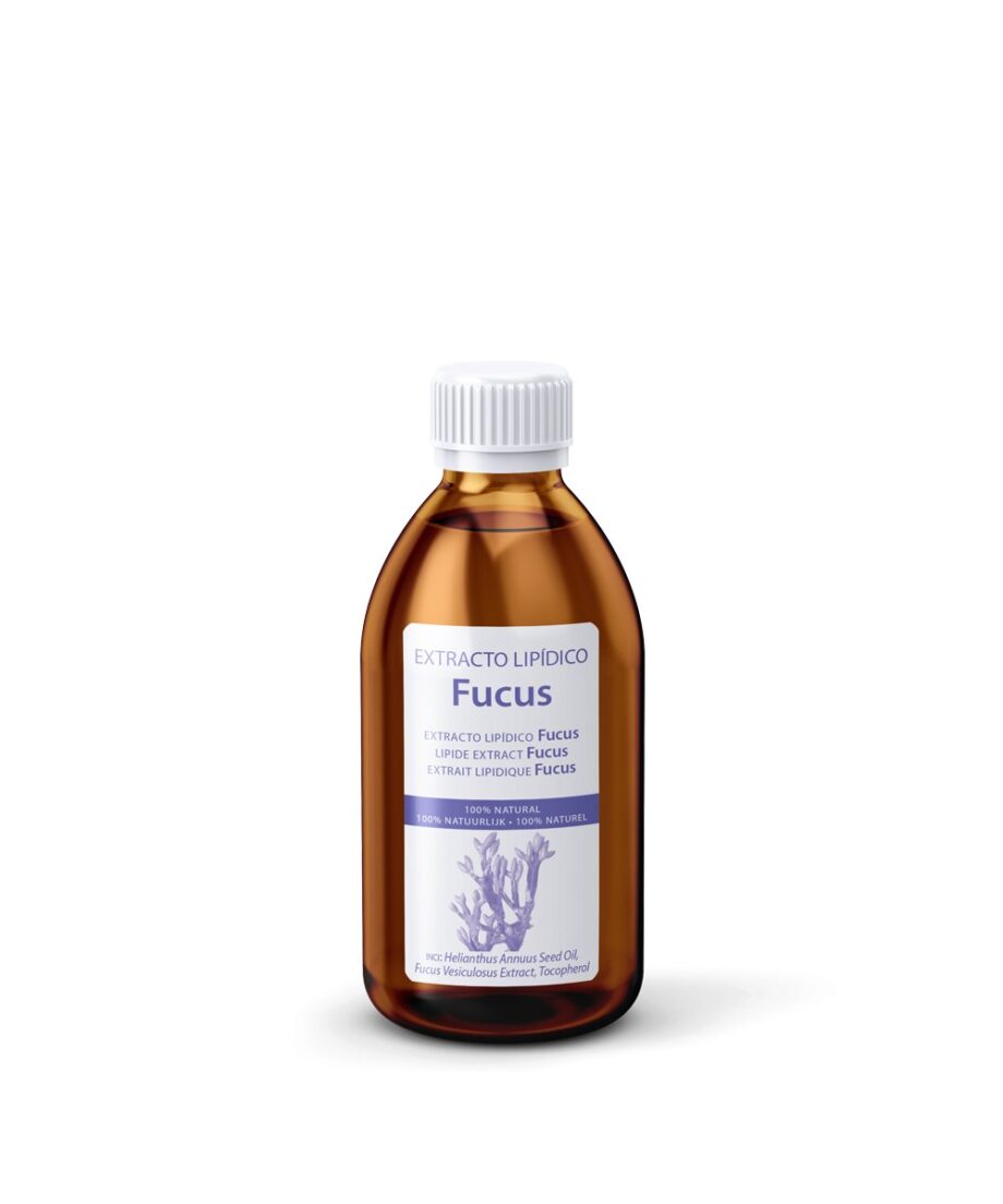 Fucus vesiculosus