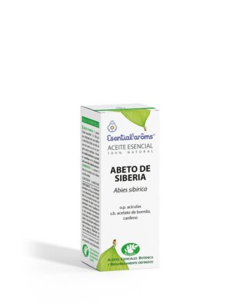Abeto de Siberia