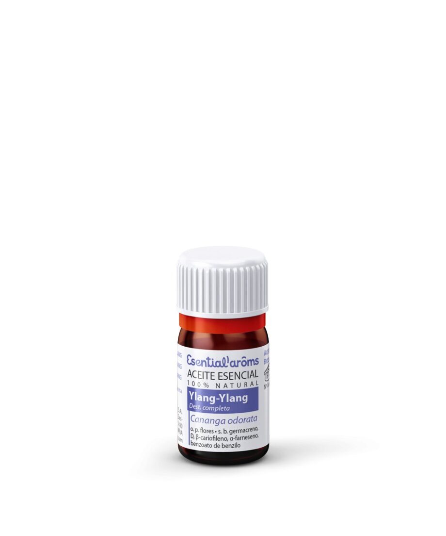 Ylang - Ylang